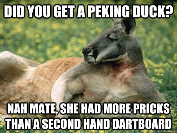 Did you get a Peking Duck? Nah Mate, She had more pricks than a second hand dartboard  Interesting Aussie Kangaroo