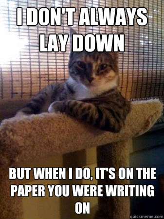 i don't always lay down but when I do, It's on the paper you were writing on  The Most Interesting Cat in the World