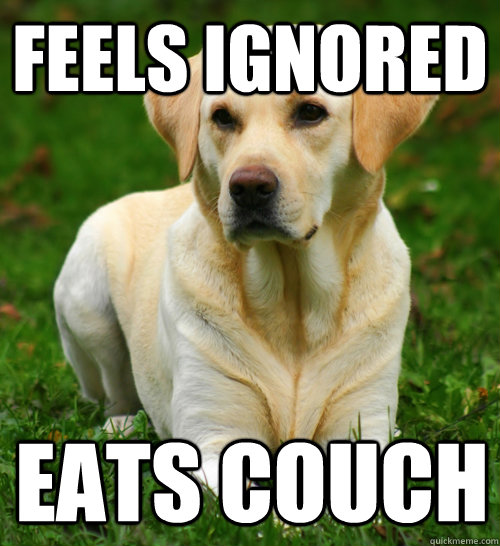 Feels Ignored Eats couch  Dog Logic
