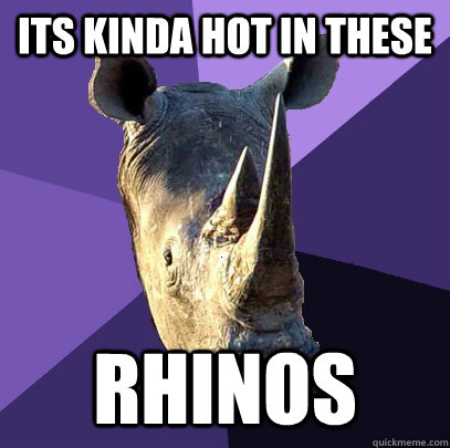 ITS KINDA HOT IN THESE RHINOS  Sexually Oblivious Rhino
