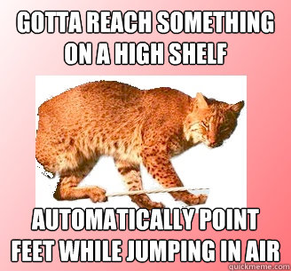 Gotta reach something on a high shelf automatically point feet while jumping in air  
