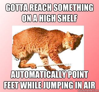 Gotta reach something on a high shelf automatically point feet while jumping in air - Gotta reach something on a high shelf automatically point feet while jumping in air  Ballerina Bobcat