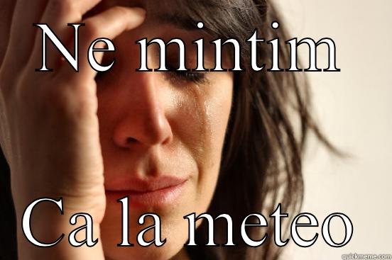 NE MINTIM CA LA METEO First World Problems