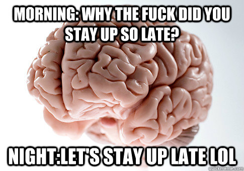 Morning: Why the fuck did you stay up so late? Night:let's stay up late lol  Scumbag Brain