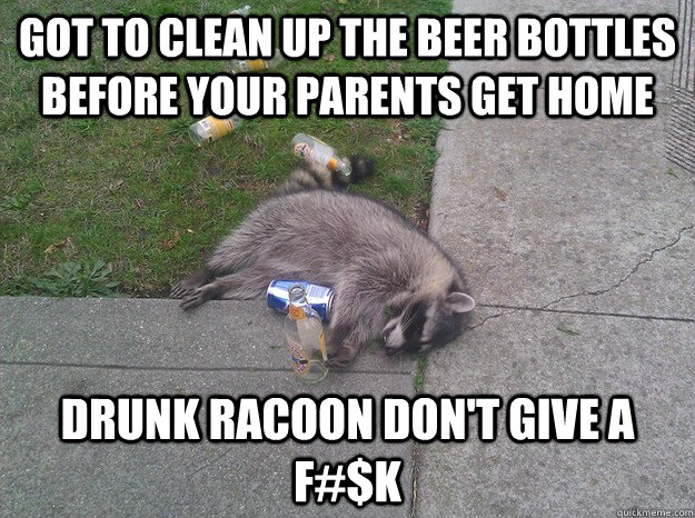 Got to clean up the beer bottles before your parents get home drunk racoon don't give a F#$K  