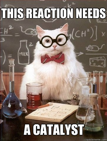 this reaction needs A catalyst - this reaction needs A catalyst  Chemistry Cat