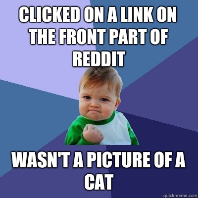 Clicked on a link on the front part of reddit Wasn't a picture of a cat - Clicked on a link on the front part of reddit Wasn't a picture of a cat  Success Kid