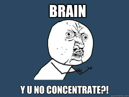 Brain Y U NO CONCENTRATE?!  Y U No