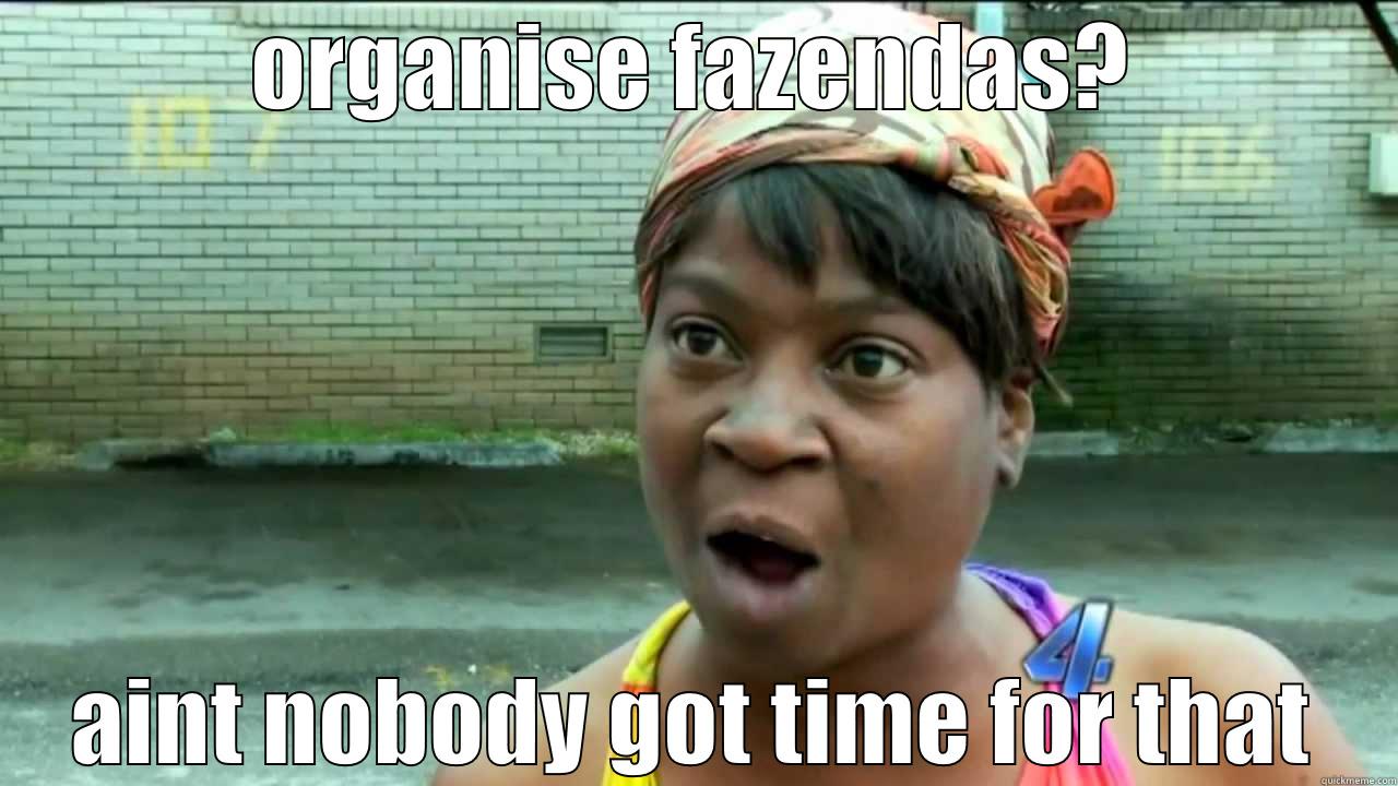 ORGANISE FAZENDAS? AINT NOBODY GOT TIME FOR THAT Misc