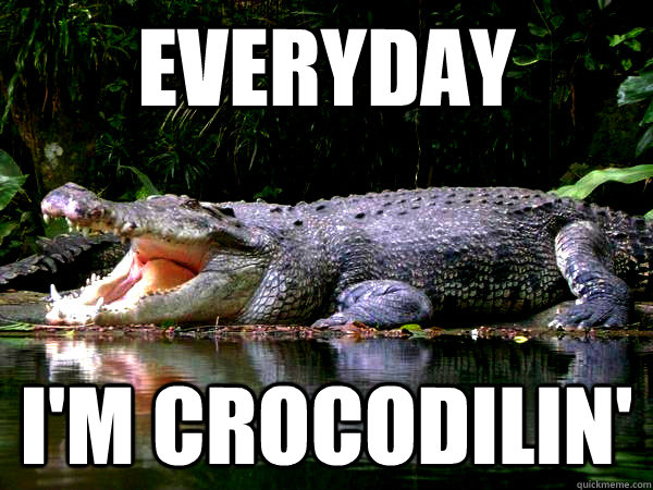 Everyday I'm Crocodilin'  Cranky Crocodile