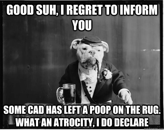 good suh, i regret to inform you some cad has left a poop on the rug. what an atrocity, i do declare  southern gentleman dog