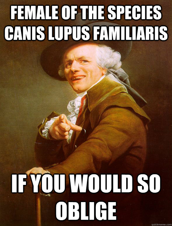 Female of the species Canis lupus familiaris if you would so oblige  Joseph Ducreux