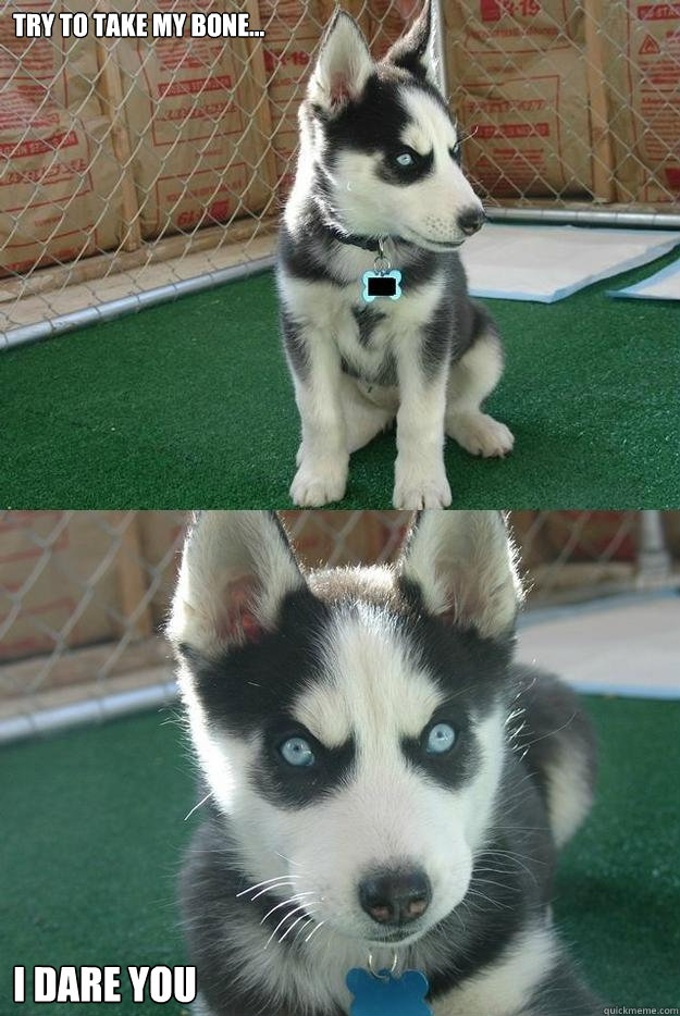 Try to take my bone... I dare you  Insanity puppy