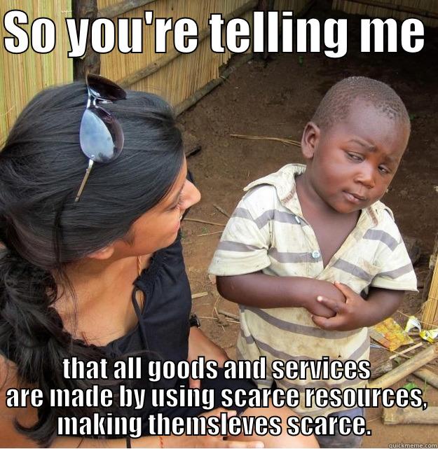 SO YOU'RE TELLING ME  THAT ALL GOODS AND SERVICES ARE MADE BY USING SCARCE RESOURCES, MAKING THEMSLEVES SCARCE.  Skeptical Third World Kid