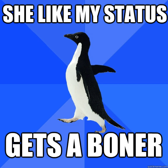 She like my status  gets a boner  Socially Awkward Penguin