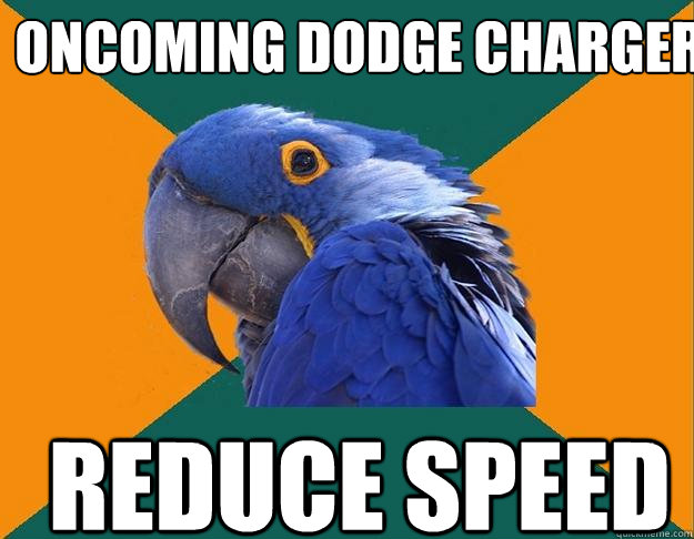 oncoming dodge charger reduce speed   Paranoid Parrot