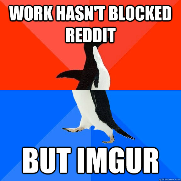 Work hasn't blocked Reddit but imgur  Socially Awesome Awkward Penguin