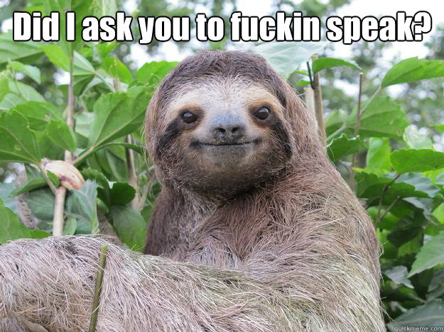 Did I ask you to fuckin speak?
  - Did I ask you to fuckin speak?
   Stoned Sloth