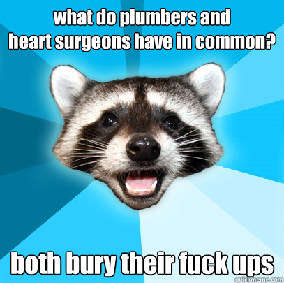 what do plumbers and
heart surgeons have in common? both bury their fuck ups  Lame Pun Coon
