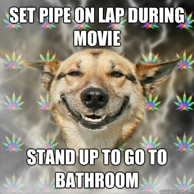 Set pipe on lap during movie Stand up to go to bathroom  Stoner Dog