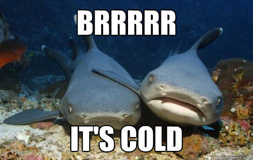 brrrrr it's cold  Compassionate Shark Friend