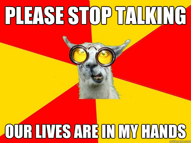 please stop talking our lives are in my hands  Learner Driver Llama