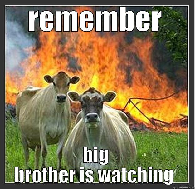 REMEMBER BIG BROTHER IS WATCHING  Evil cows