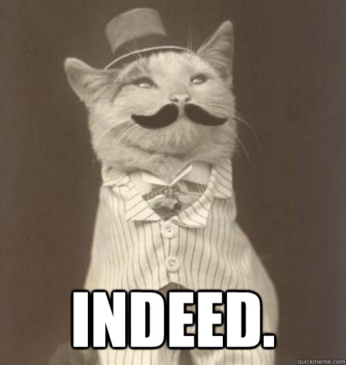  Indeed.  Original Business Cat