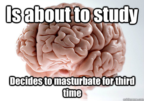 Is about to study Decides to masturbate for third time   Scumbag Brain