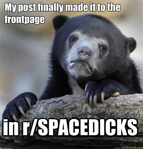 My post finally made it to the frontpage in r/SPACEDICKS  Confession Bear