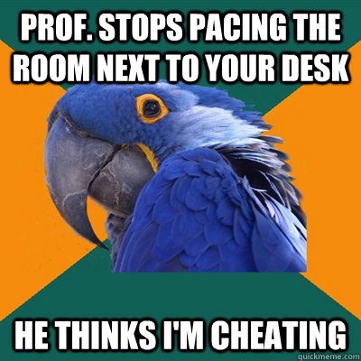 Prof. stops pacing the room next to your desk He thinks I'm cheating  Paranoid Parrot
