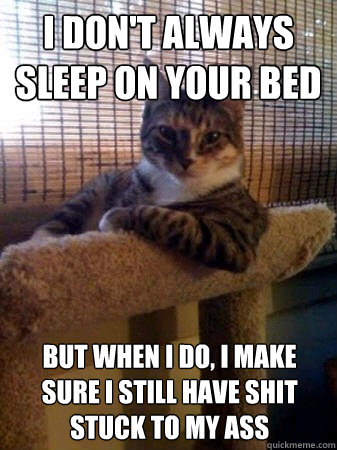 I don't always sleep on your bed but when I do, I make sure i still have shit stuck to my ass  The Most Interesting Cat in the World