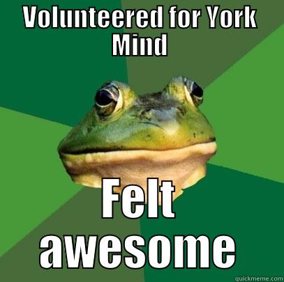 VOLUNTEERED FOR YORK MIND FELT AWESOME Foul Bachelor Frog