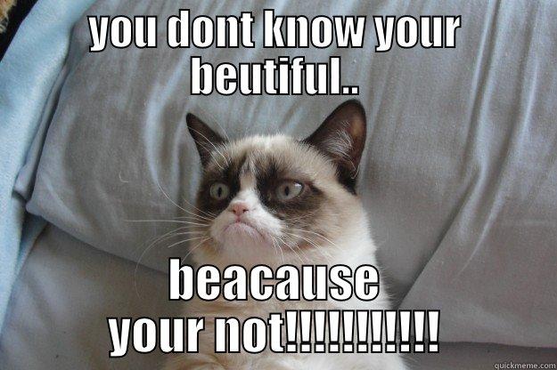 YOU DONT KNOW YOUR BEUTIFUL.. BEACAUSE YOUR NOT!!!!!!!!!!! Grumpy Cat
