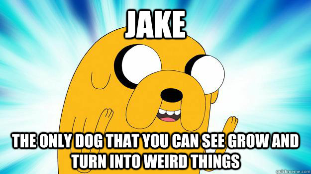 jake the only dog that you can see grow and turn into weird things  Jake The Dog