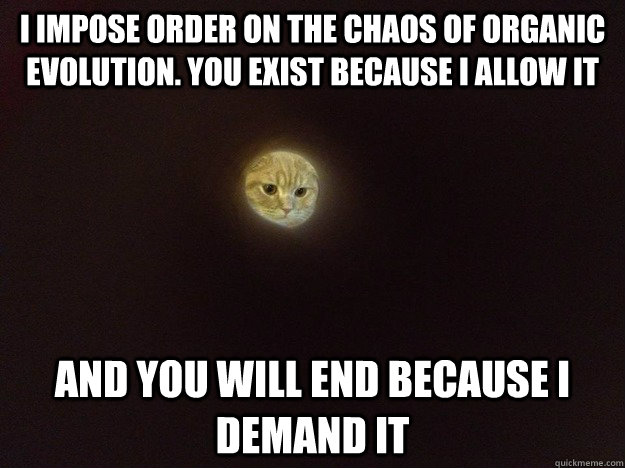 I impose order on the chaos of organic evolution. You exist because i allow it And you will end because i demand it  Overlord Cat