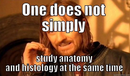 ONE DOES NOT SIMPLY STUDY ANATOMY AND HISTOLOGY AT THE SAME TIME Boromir