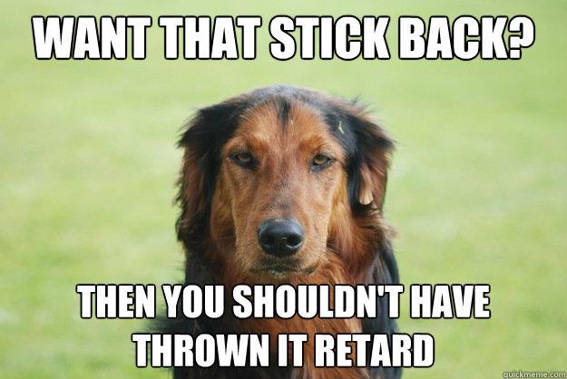 Want that stick back? Then you shouldn't have thrown it retard  Careless Canine