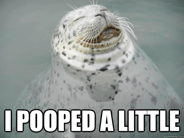 I pooped a little - I pooped a little  Zen Seal