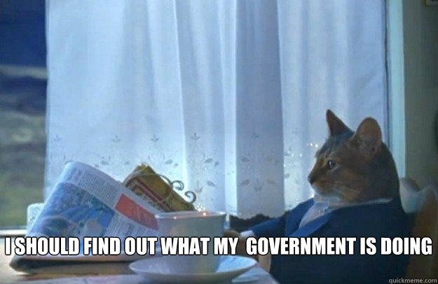  I should find out what my  government is doing  Sophisticated Cat