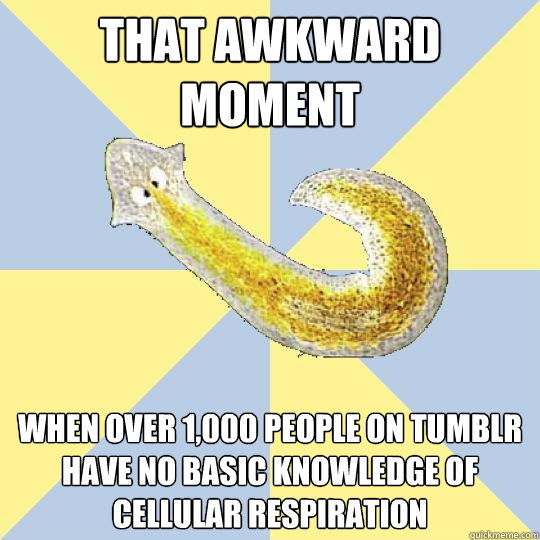That awkward moment when over 1,000 people on tumblr have no basic knowledge of cellular respiration   Bio Major Planarian
