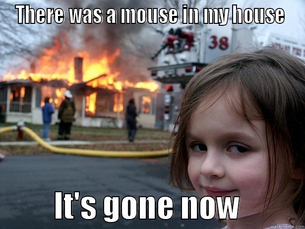 Mouse in the House - THERE WAS A MOUSE IN MY HOUSE           IT'S GONE NOW           Disaster Girl