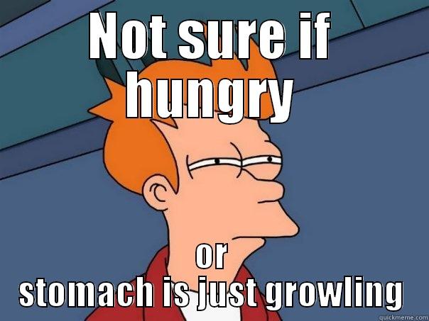 NOT SURE IF HUNGRY OR STOMACH IS JUST GROWLING Futurama Fry