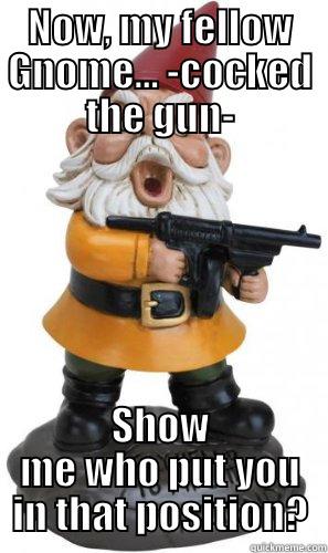 NOW, MY FELLOW GNOME... -COCKED THE GUN- SHOW ME WHO PUT YOU IN THAT POSITION? Misc