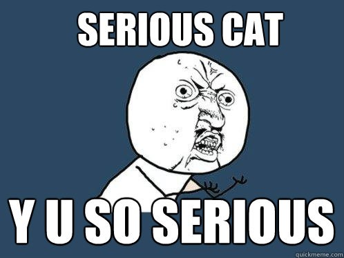 Serious Cat y u so serious
  Y U No
