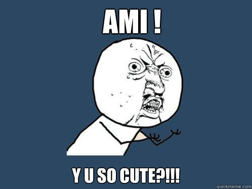 AMI ! y U SO CUTE?!!!
  Y U No