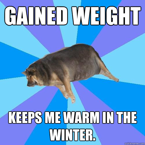 gained weight keeps me warm in the winter. - gained weight keeps me warm in the winter.  Lazy college student