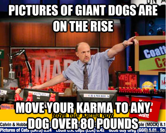Pictures of giant dogs are on the rise move your karma to any dog over 80 pounds  move your karma now