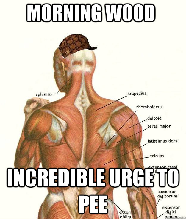 Morning wood incredible urge to pee  Scumbag body