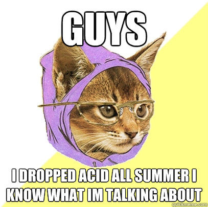 guys  i dropped acid all summer I know what im talking about  Hipster Kitty